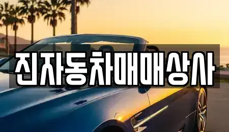 경남 밀양시 내이동 중고차 전문 진자동차매매상사