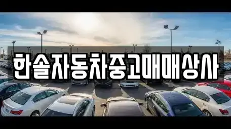 경남 밀양시 내이동 중고차 전문 한솔자동차중고매매상사