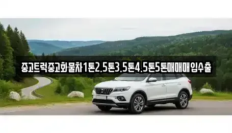 경남 밀양시 단장면 중고차 전문 중고트럭중고화물차1톤2.5톤3.5톤4.5톤5톤매매매입수출