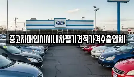 경남 양산시 남부동 중고차 전문 중고차매입시세내차팔기견적가격수출업체