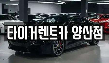 경남 양산시 유산동 렌트카 전문 타이거렌트카 양산점