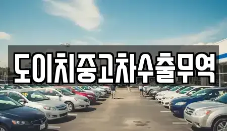 경남 양산시 유산동 중고차 전문 도이치중고차수출무역