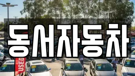 경남 창원시 성산구 용지동 중고차매매,단기렌트카,중고차매입,장기렌트카,중고차,렌트카