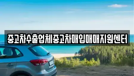 경남 창원시 성산구 용지동 중고차매입 전문 중고차수출업체중고차매입매매지원센터