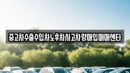 경남 창원시 의창구 서곡동 중고차 전문 중고차수출수입차노후차사고차량매입매매센타