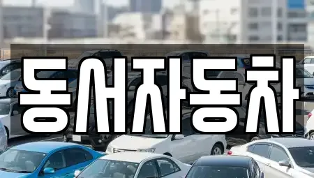 경남 창원시 진해구 남빈동 중고차 전문 동서자동차