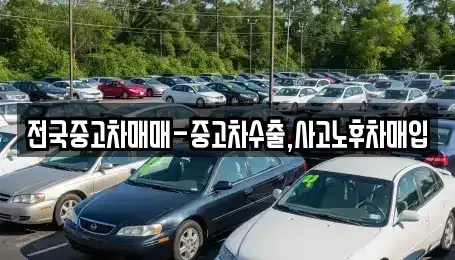 경남 창원시 진해구 남빈동 중고차매입 전문 전국중고차매매-중고차수출,사고노후차매입