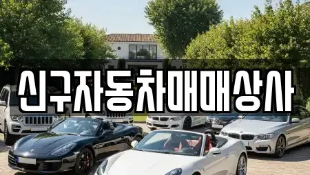 경남 창원시 진해구 동상동 중고차매매 전문 신구자동차매매상사