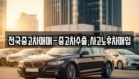 경남 창원시 진해구 태평동 중고차매입 전문 전국중고차매매-중고차수출,사고노후차매입