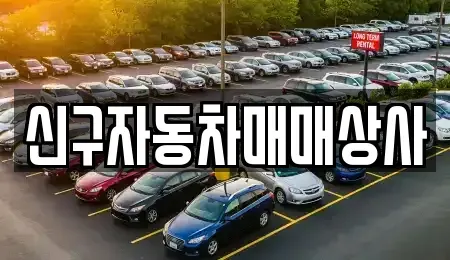경남 창원시 진해구 현동 중고차 전문 신구자동차매매상사