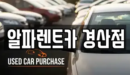 경북 경산시 대평동 렌트카 전문 알파렌트카 경산점