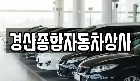 경북 경산시 대평동 중고차매매,단기렌트카,중고차매입,장기렌트카,중고차,렌트카