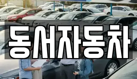 경북 경산시 대평동 중고차매매 전문 동서자동차