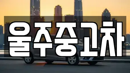 경북 경주시 내남면 중고차 전문 울주중고차