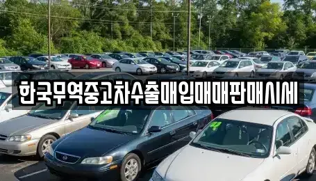 경북 경주시 성동동 중고차매매 전문 한국무역중고차수출매입매매판매시세