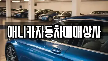 경북 구미시 고아읍 중고차 전문 애니카자동차매매상사