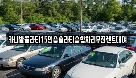 경북 구미시 남통동 렌트카 전문 카니발쏠라티15인승솔라티승합차리무진렌트대여