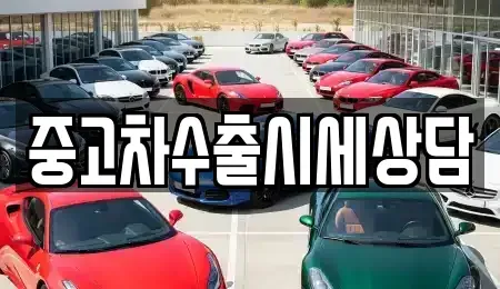 경북 구미시 남통동 중고차 전문 중고차수출시세상담