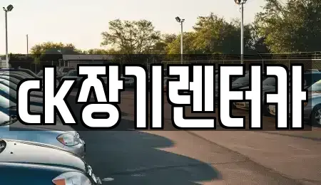 경북 김천시 부곡동 렌트카 전문 ck장기렌터카