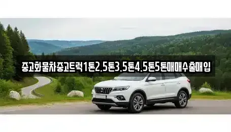 경북 상주시 낙동면 중고차 전문 중고화물차중고트럭1톤2.5톤3.5톤4.5톤5톤매매수출매입