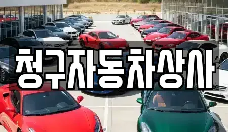 경북 상주시 낙동면 중고차 전문 청구자동차상사