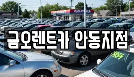 경북 안동시 남선면 렌트카 전문 금오렌트카 안동지점