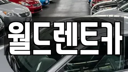 경북 안동시 남선면 렌트카 전문 월드렌트카