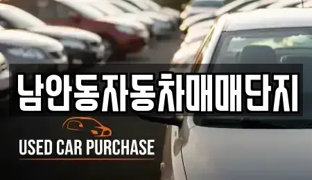 경북 안동시 남선면 중고차 전문 남안동자동차매매단지
