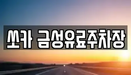경북 안동시 동문동 렌트카 전문 쏘카 금성유료주차장