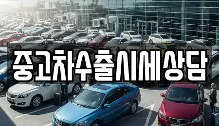 경북 안동시 동문동 중고차 전문 중고차수출시세상담