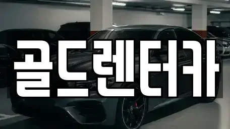 경북 안동시 신세동 렌트카 전문 골드렌터카
