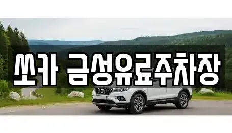 경북 안동시 신세동 렌트카 전문 쏘카 금성유료주차장