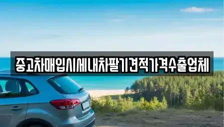 경북 안동시 신세동 중고차매매 전문 중고차매입시세내차팔기견적가격수출업체