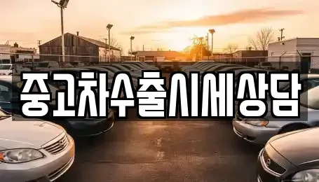 경북 안동시 신세동 중고차매매 전문 중고차수출시세상담