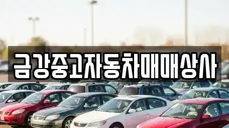 경북 영주시 중고차 전문 금강중고자동차매매상사