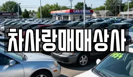 경북 영주시 중고차 전문 차사랑매매상사