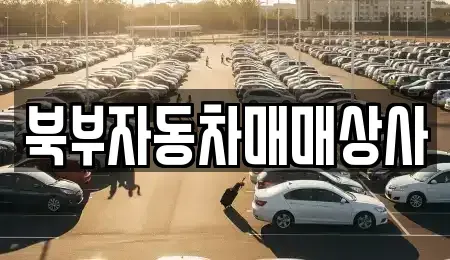 경북 의성군 중고차매매,단기렌트카,중고차매입,장기렌트카,중고차,렌트카