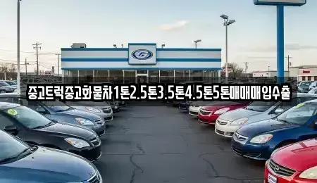 경북 의성군 중고차매매 전문 중고트럭중고화물차1톤2.5톤3.5톤4.5톤5톤매매매입수출