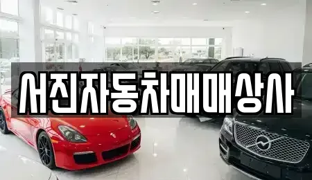 경북 포항시 남구 동촌동 중고차 전문 서진자동차매매상사