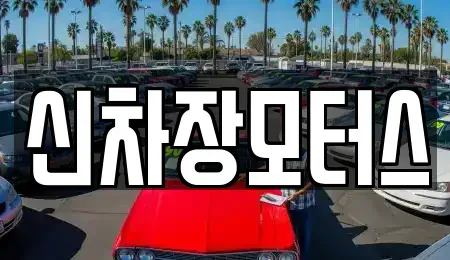경북 포항시 남구 동촌동 중고차 전문 신차장모터스