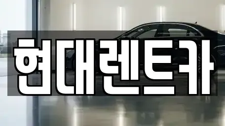 경북 포항시 북구 상원동 렌트카 전문 현대렌트카