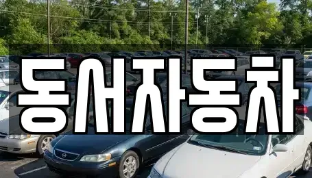 경북 포항시 북구 상원동 중고차 전문 동서자동차