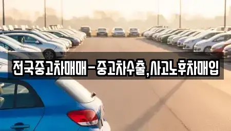 경북 포항시 북구 상원동 중고차 전문 전국중고차매매-중고차수출,사고노후차매입