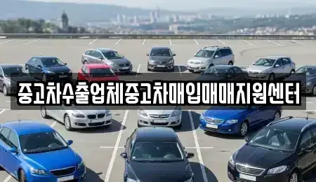 경북 포항시 북구 상원동 중고차매입 전문 중고차수출업체중고차매입매매지원센터