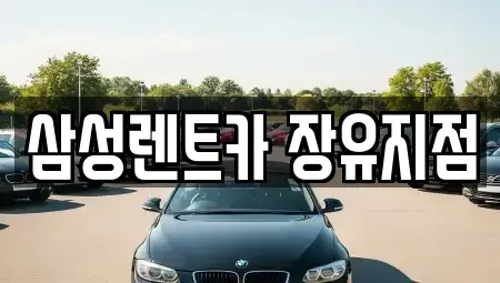 경상남도 김해시 부곡동 렌트카 전문 삼성렌트카 장유지점