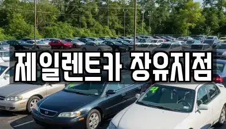 경상남도 김해시 부곡동 렌트카 전문 제일렌트카 장유지점
