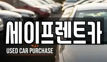경상남도 김해시 삼계동 렌트카 전문 세이프렌트카