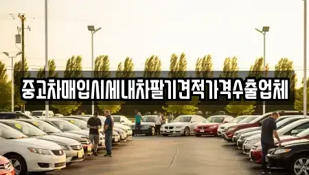 경상남도 김해시 삼계동 중고차 전문 중고차매입시세내차팔기견적가격수출업체