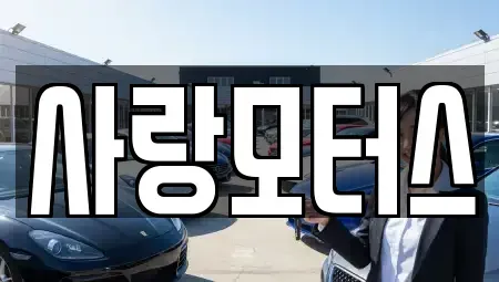 경상남도 김해시 안동 중고차 전문 사랑모터스