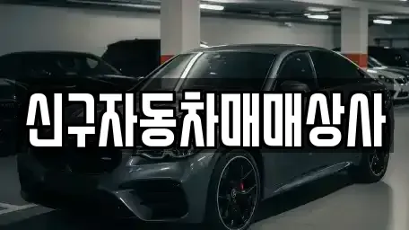 경상남도 김해시 유하동 중고차 전문 신구자동차매매상사